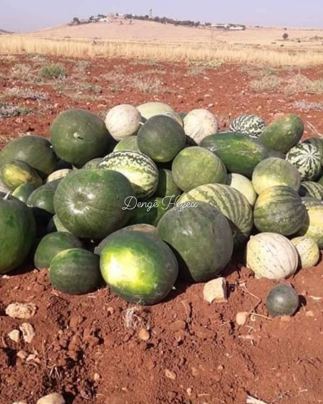 İdil Bozburun Köyü Resimleri 8