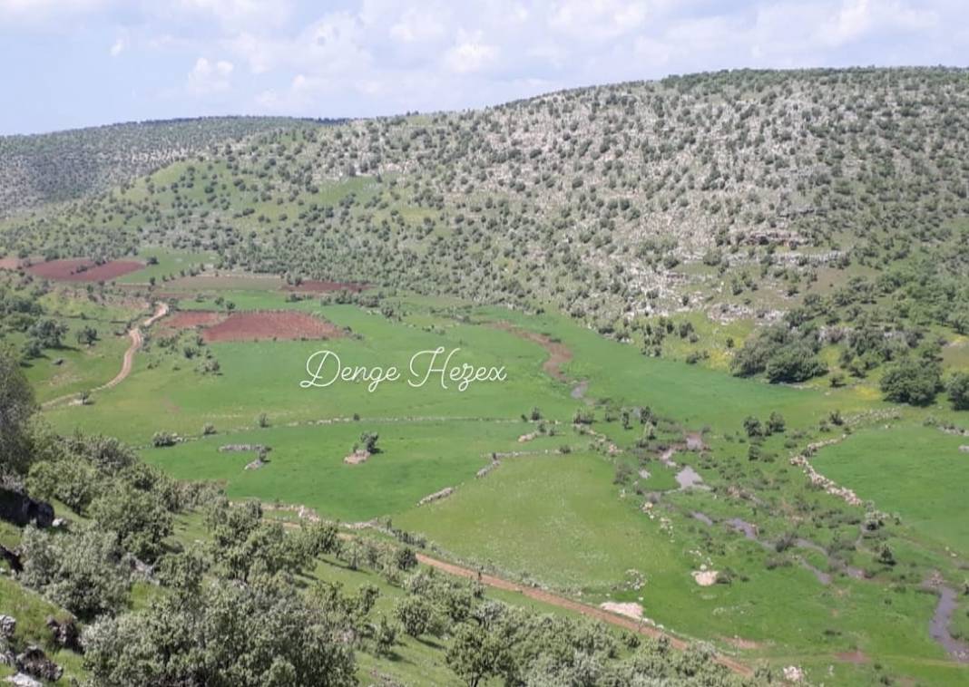 İdil Çınarlı Köyü Resimleri 4