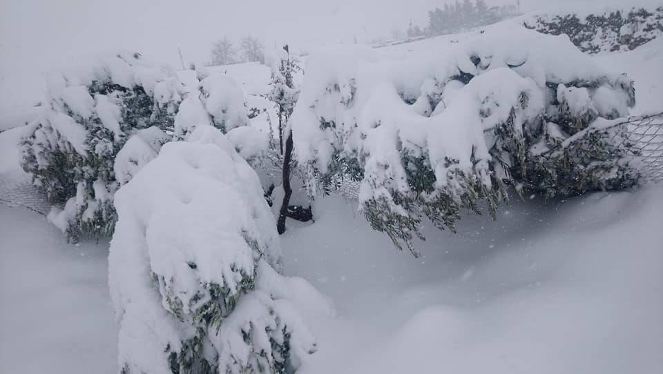 İdil Haberli Köyü Resimleri 3