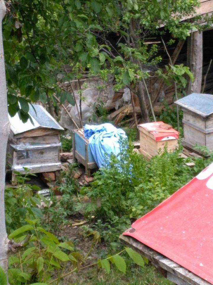 İdil Haberli Köyü Resimleri 5