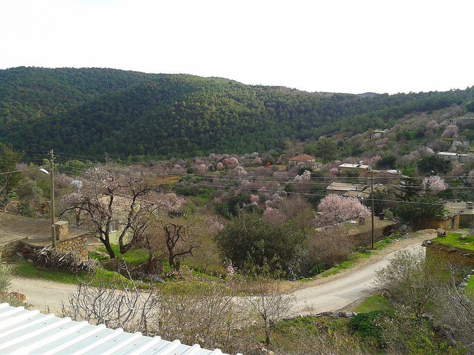 Mut Yukarıköselerli Köyü Resimleri 3