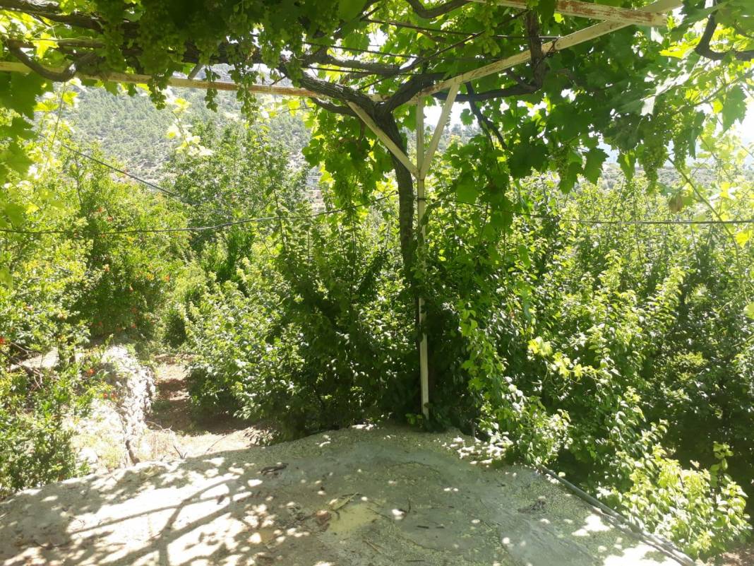 Silifke Bahçe Köyü Resimleri 13