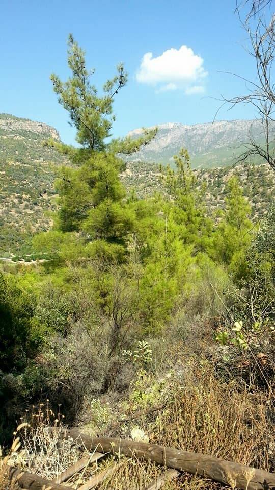 Silifke Bahçe Köyü Resimleri 4