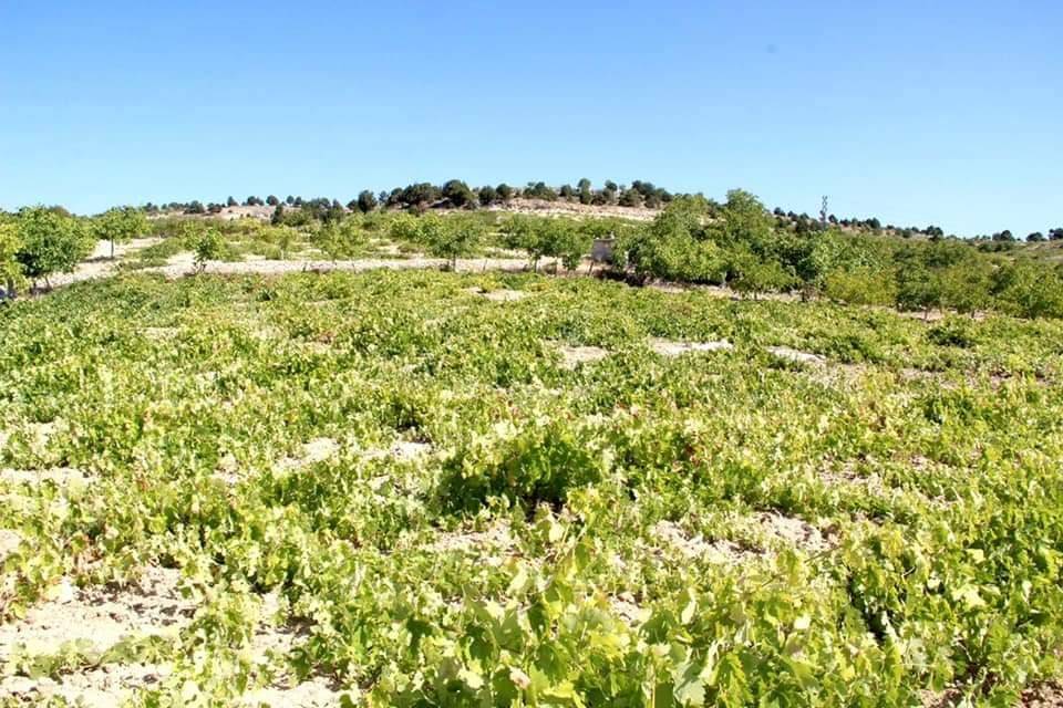 Silifke Bahçe Köyü Resimleri 7