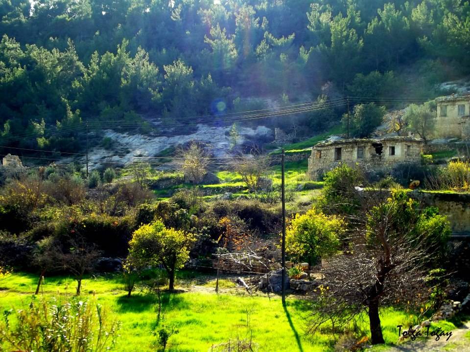 Silifke Bahçederesi  Köyü Resimleri 1