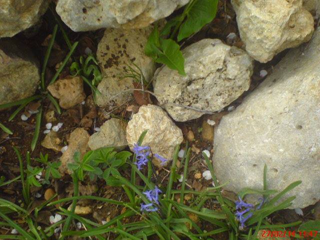 Silifke Bahçederesi  Köyü Resimleri 3