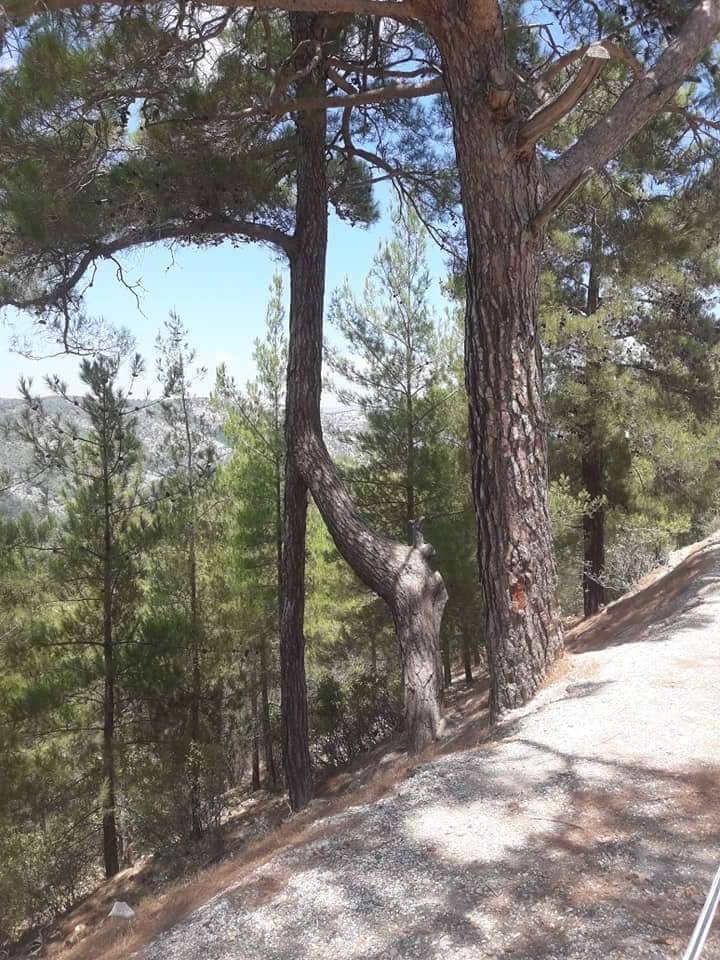 Silifke Balandız Köyü Resimleri 8