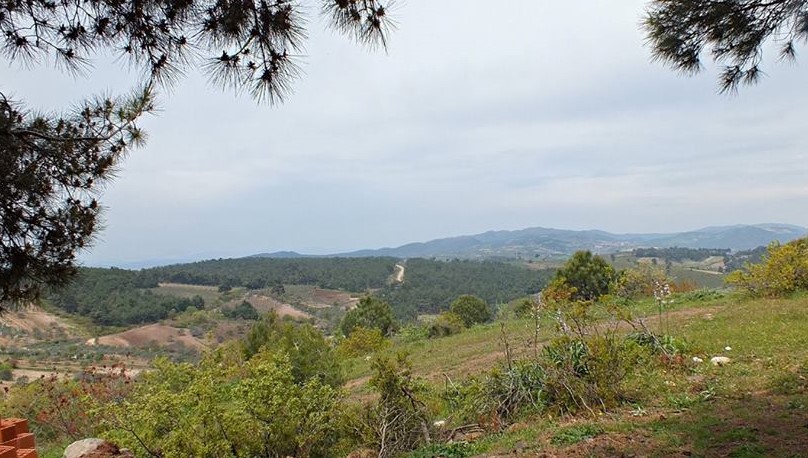 Akhisar Çanakçı  Köyü Resimleri 15