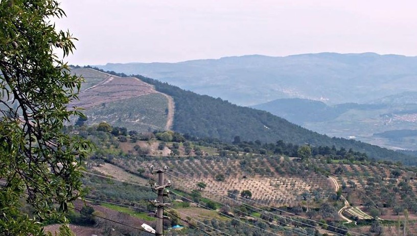 Akhisar Çanakçı  Köyü Resimleri 16