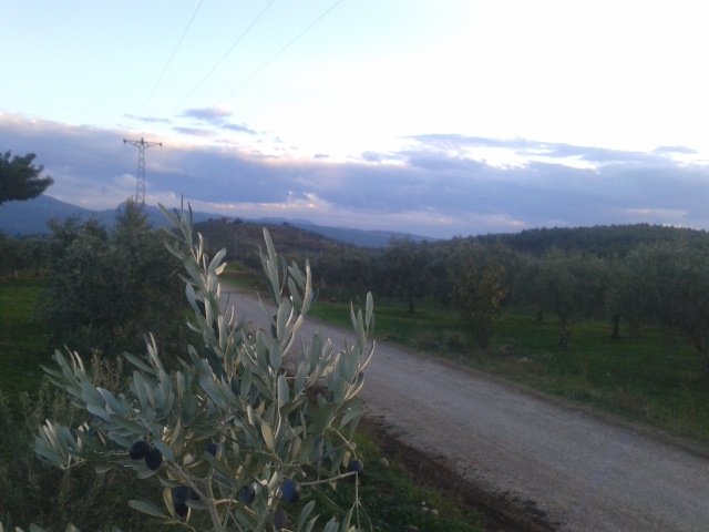 Akhisar Çanakçı  Köyü Resimleri 7