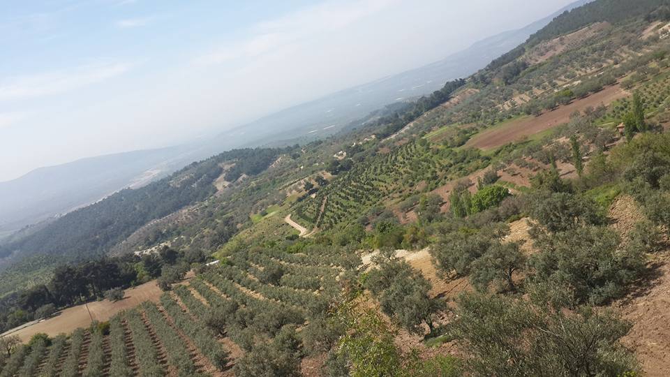 Akhisar Çanakçı  Köyü Resimleri 9