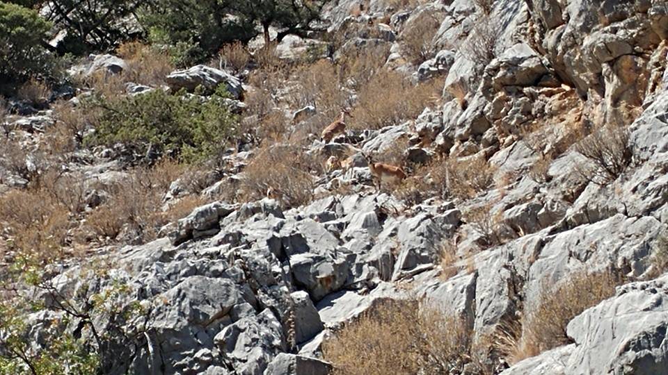 Silifke Burunucu Köyü Resimleri 8