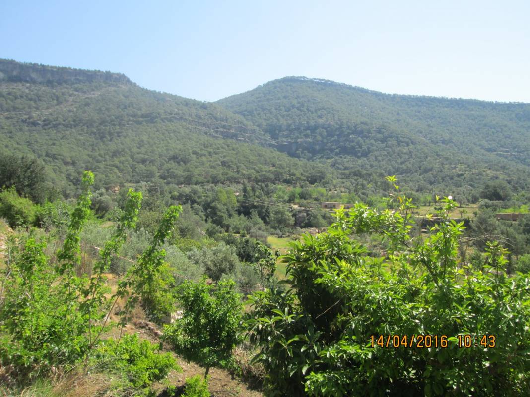 Silifke Camiikebir Köyü Resimleri 15