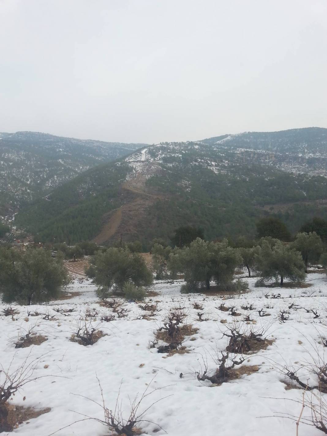 Silifke Camiikebir Köyü Resimleri 9