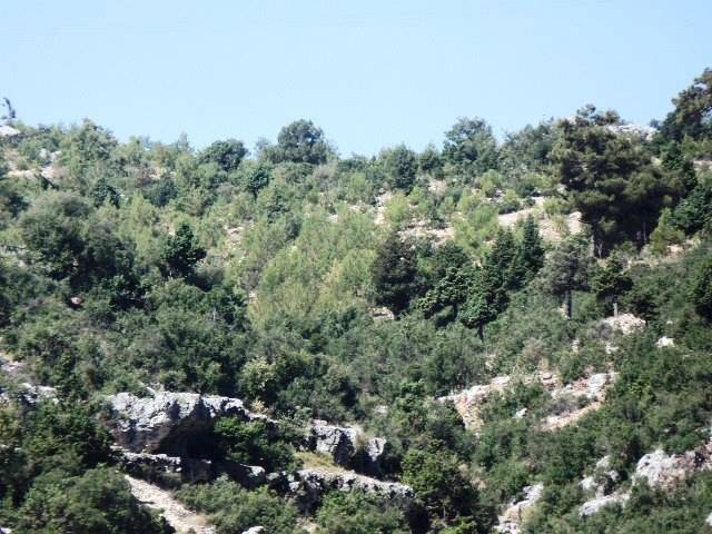 Silifke Cılbayır Köyü Resimleri 6