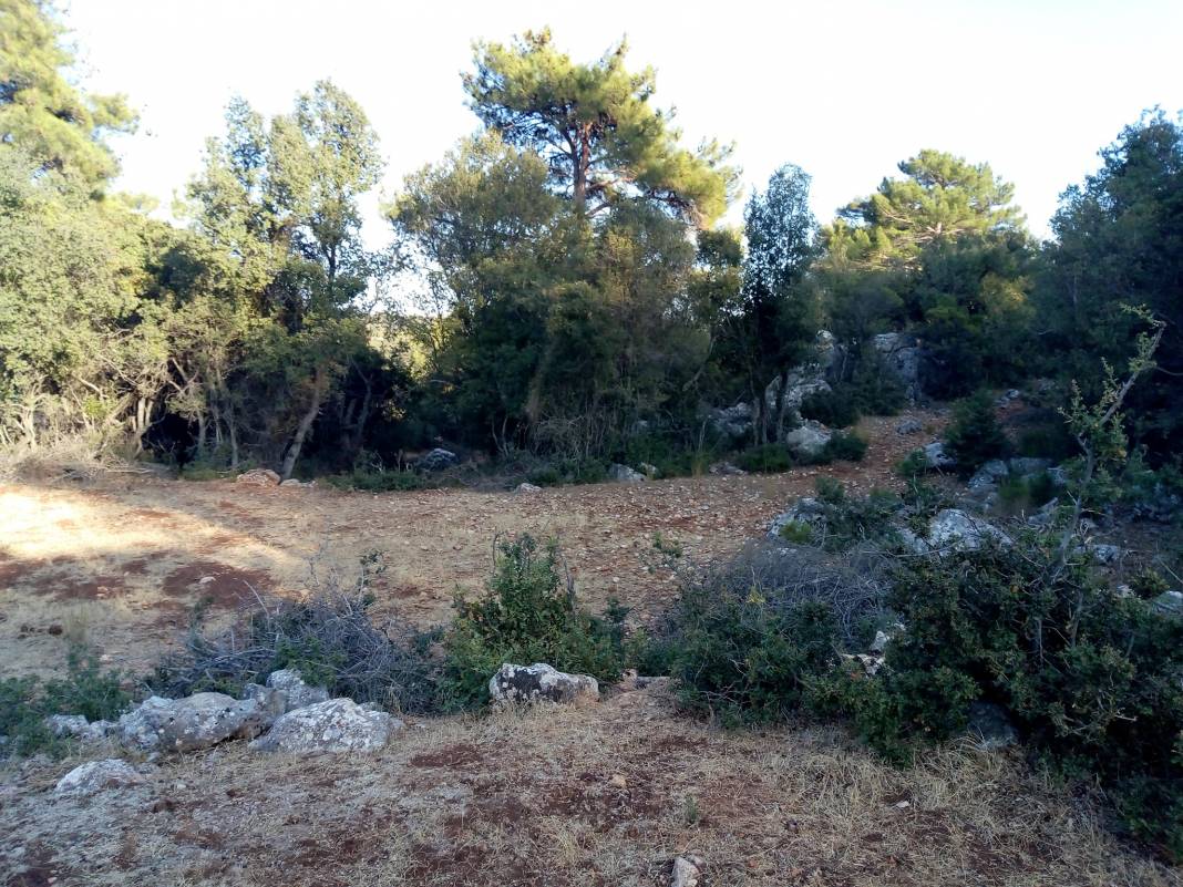 Silifke Çaltıbozkır Köyü Resimleri 6