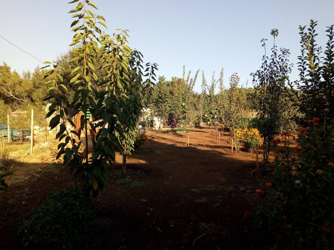 Silifke Çaltıbozkır Köyü Resimleri 8