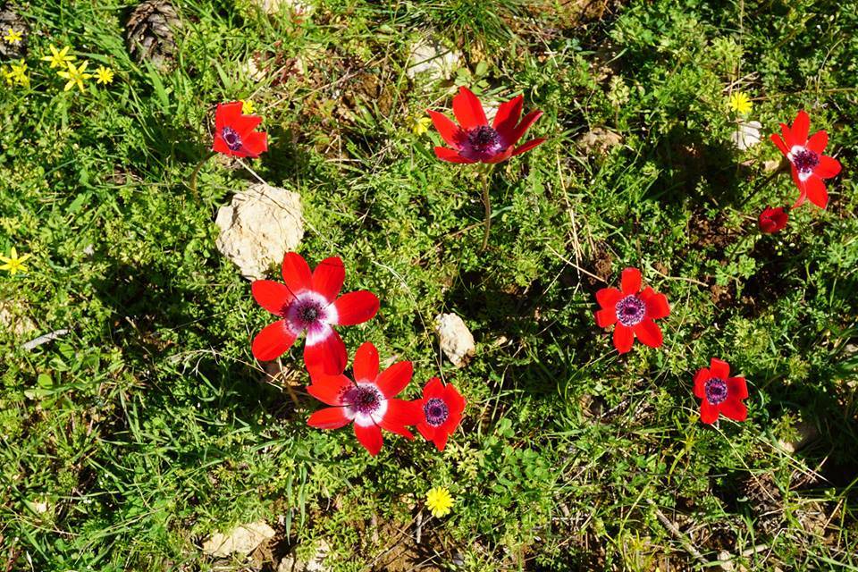 Silifke Çamlıbel Köyü Resimleri 4