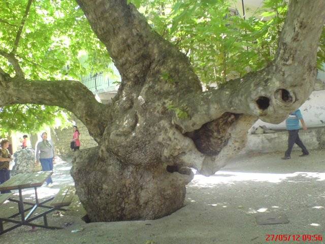 Silifke Çamlıca Köyü Resimleri 1