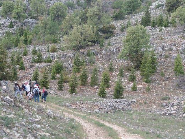 Silifke Çamlıca Köyü Resimleri 2