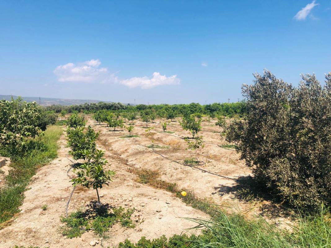 Silifke Çeltikçi Köyü Resimleri 7