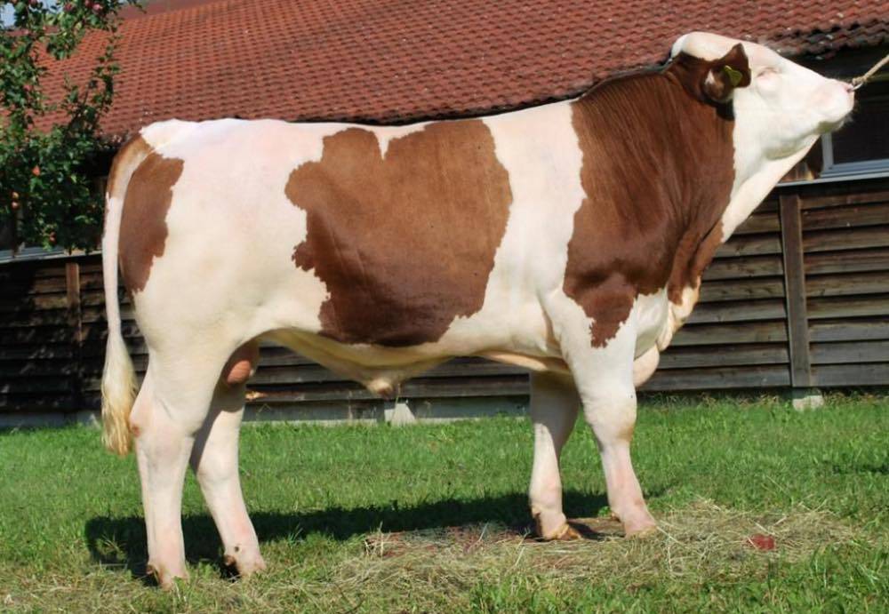 Silifke Ekşiler  Köyü Resimleri 11