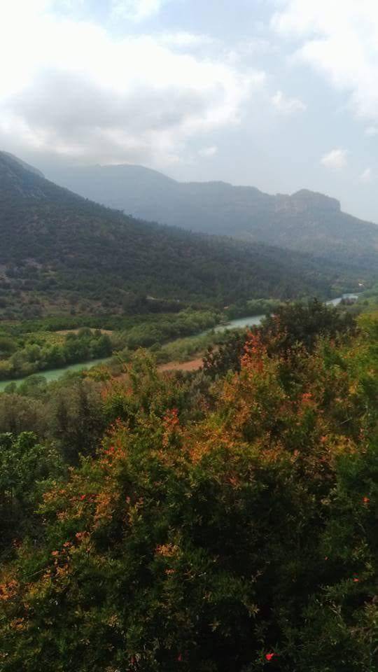 Silifke Ekşiler  Köyü Resimleri 5