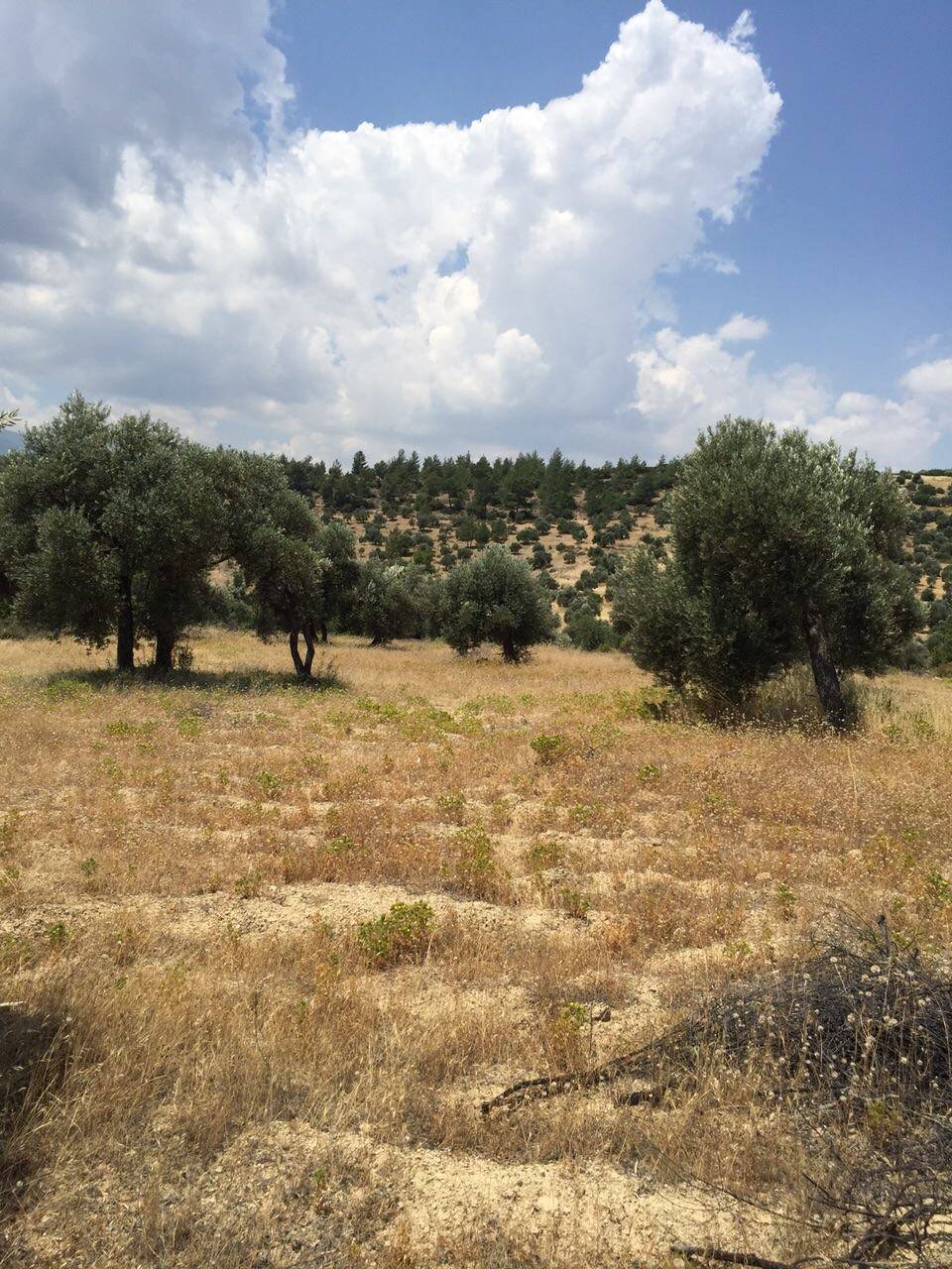 Silifke Gazi Köyü Resimleri 4