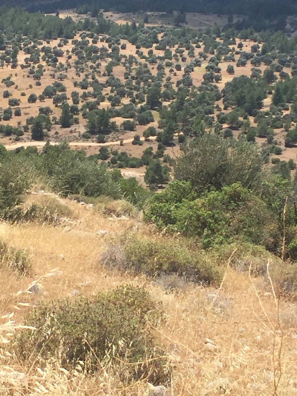 Silifke Gazi Köyü Resimleri 5