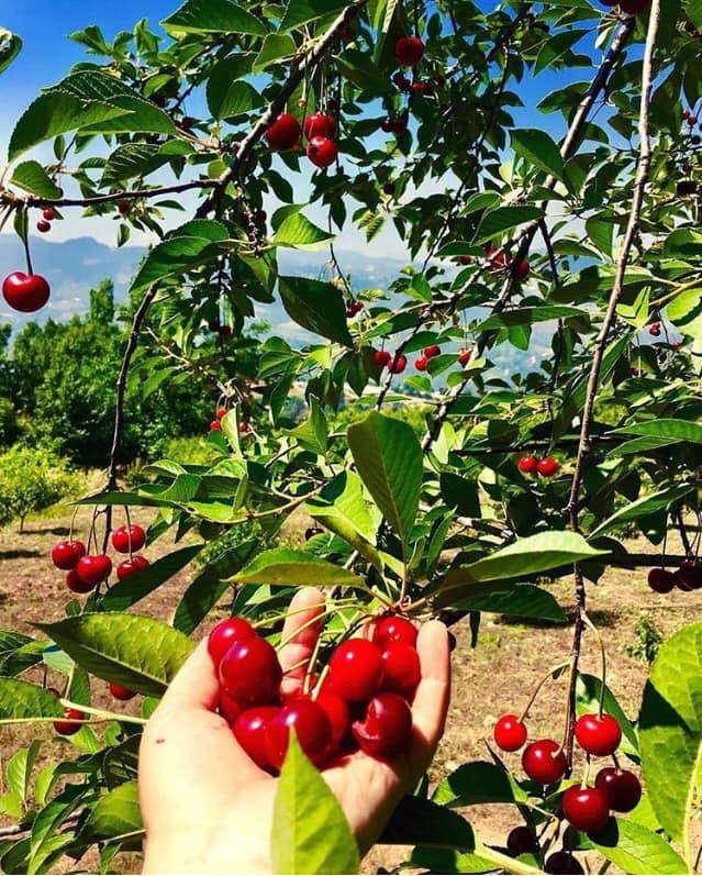 Silifke Işıklı Köyü Resimleri 9