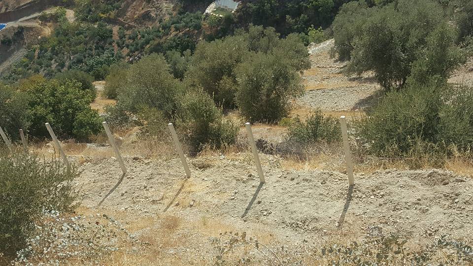 Silifke İmambekirli Köyü Resimleri 9