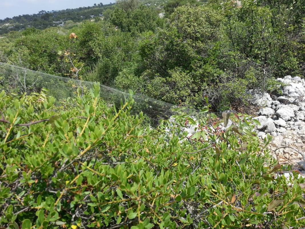 Silifke İmamlı Köyü Resimleri 3