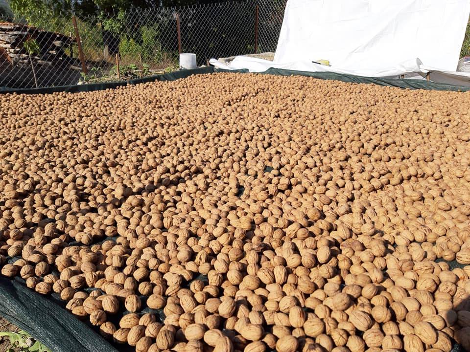 Gölpazarı Karacalar Köyü Resimleri 10