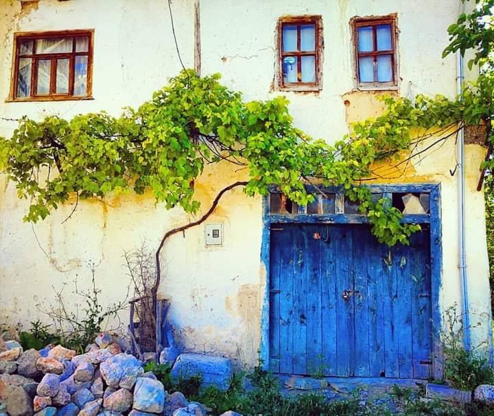 Gölpazarı Kasımlar Köyü Resimleri 2