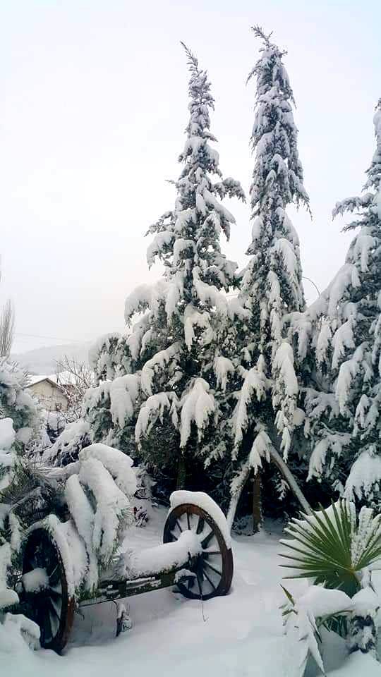 Gölpazarı Kasımlar Köyü Resimleri 4