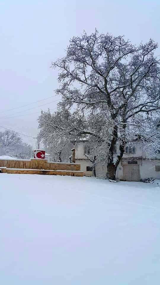 Gölpazarı Kasımlar Köyü Resimleri 5