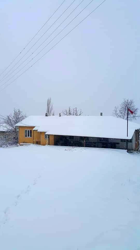 Gölpazarı Kasımlar Köyü Resimleri 7