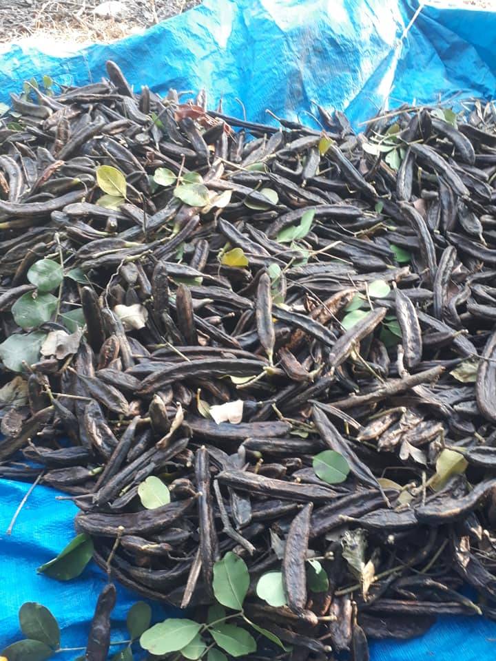 Silifke Kabasakallı Köyü Resimleri 7