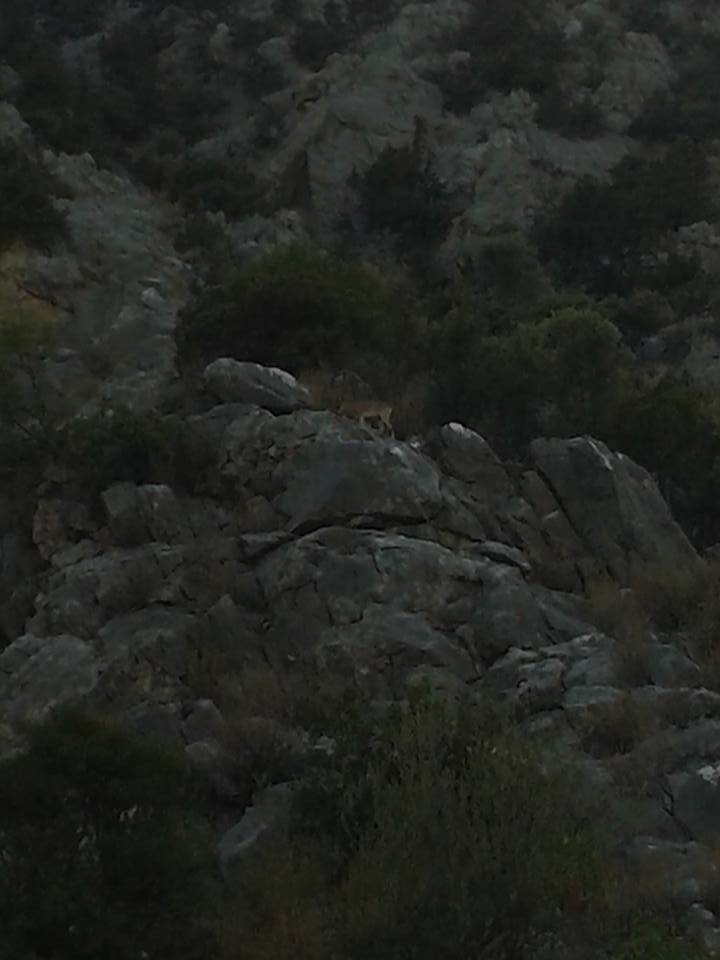 Silifke Karakaya Köyü Resimleri 6