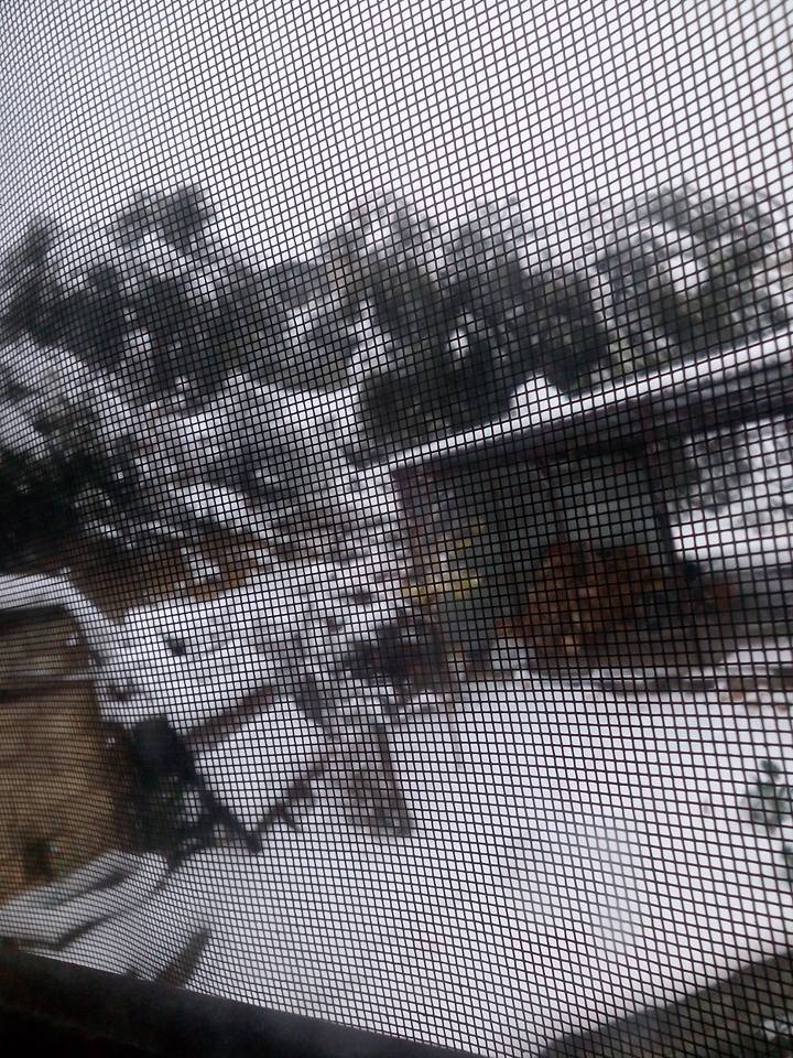 Silifke Karakaya Köyü Resimleri 7