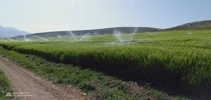 Gölpazarı Kurşunlu Köyü Resimleri 5
