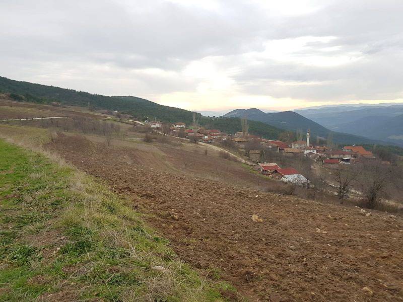 Gölpazarı Kuşçuören Köyü Resimleri 2