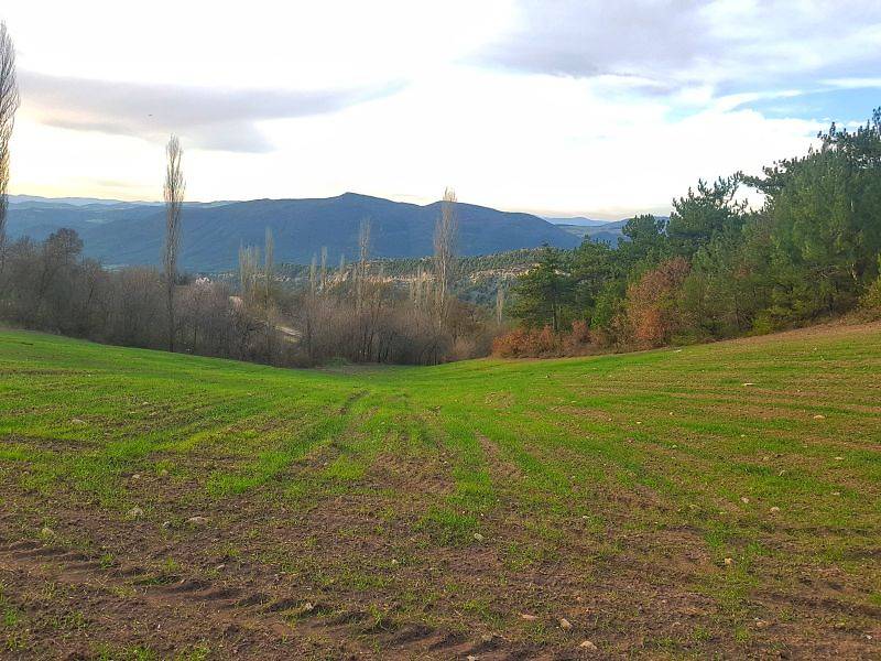 Gölpazarı Kuşçuören Köyü Resimleri 3