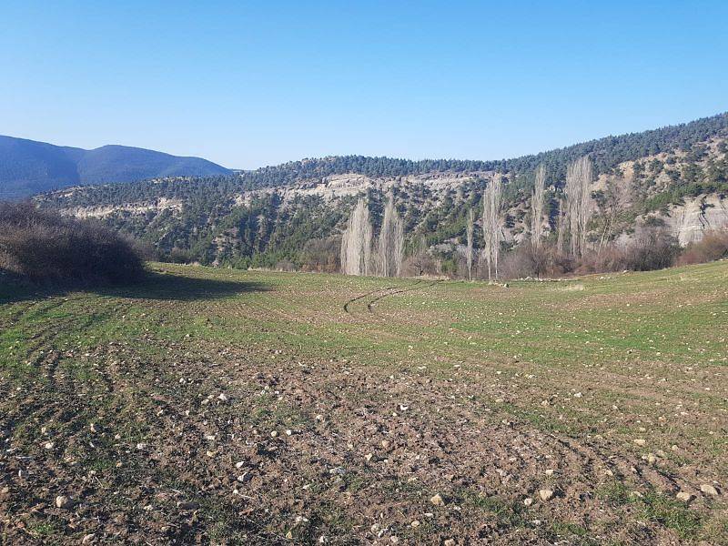 Gölpazarı Kuşçuören Köyü Resimleri 4