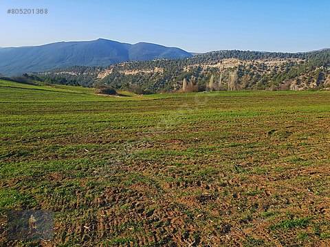 Gölpazarı Kuşçuören Köyü Resimleri 5
