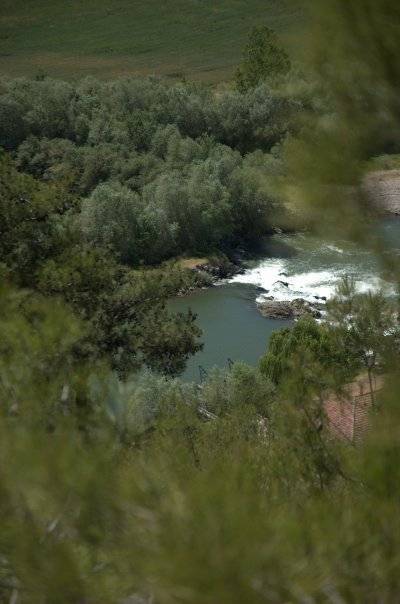 Gölpazarı Küçükyenice Köyü Resimleri 2