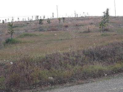 Gölpazarı Sarıhacılar Köyü Resimleri 3