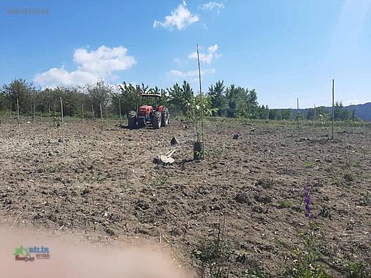 Gölpazarı Sarıhacılar Köyü Resimleri 4