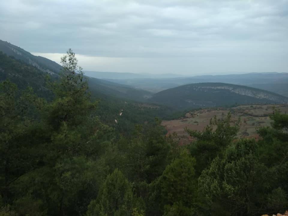 Gölpazarı Söğütcük Köyü Resimleri 11