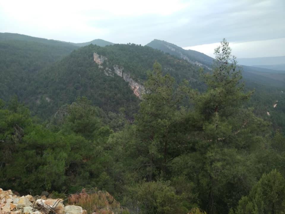 Gölpazarı Söğütcük Köyü Resimleri 12